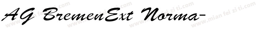 AG BremenExt Norma字体转换